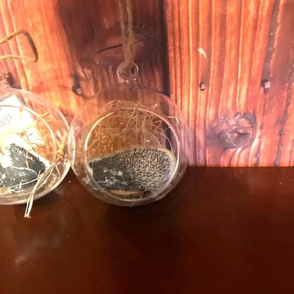 Decorative Glass Hanging Animal Ornaments Set of 2 hedgehog and‎ squirrel